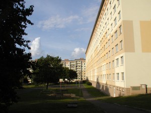 P1010038